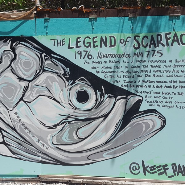 Legend of Scarface Robbies Islamorada Florida Keys