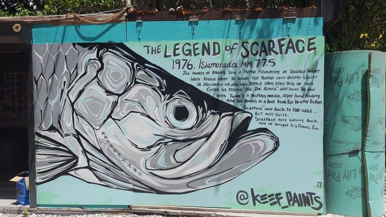 Legend of Scarface Robbies Islamorada Florida Keys