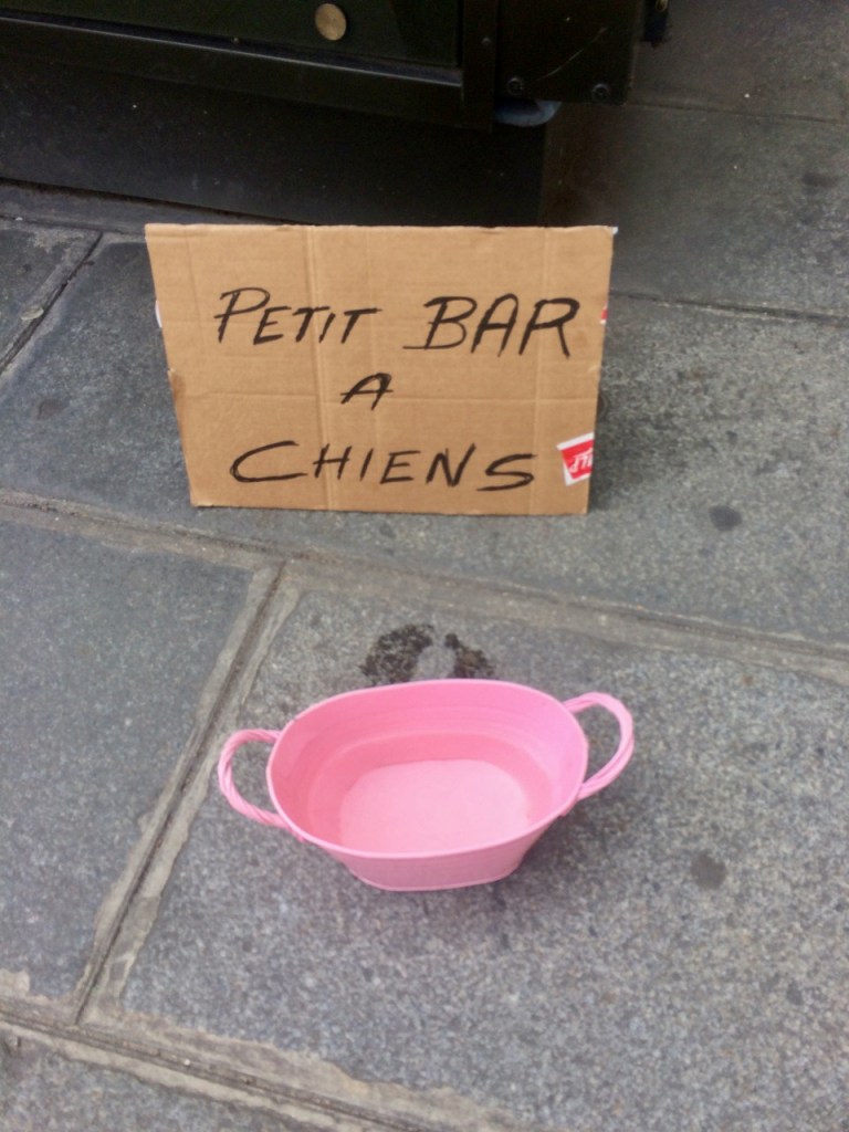 Petit bar à chiens