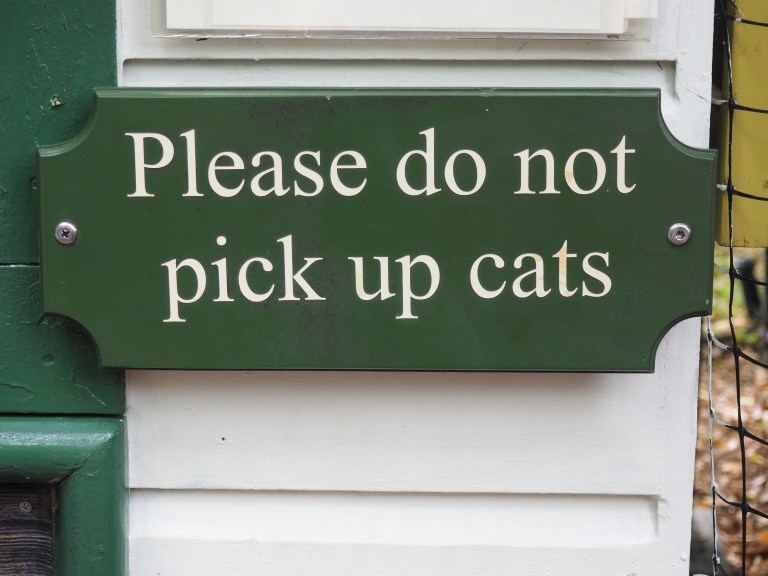 Please do not pick up cats sign at Ernest Hemingway house in Key West