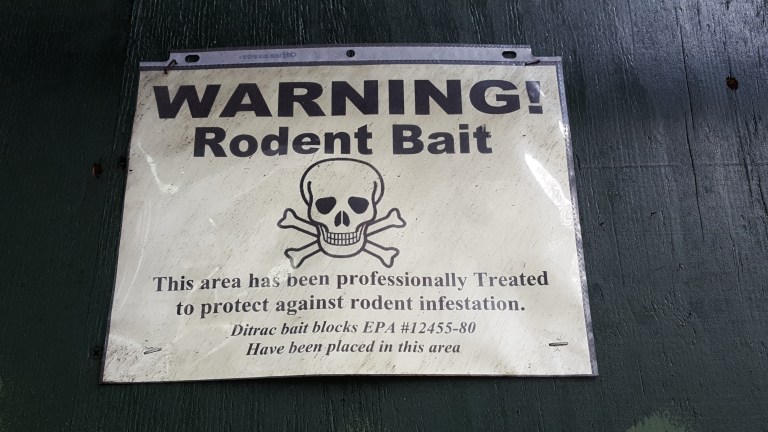 warning rodent bait New York City rats